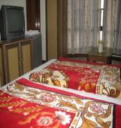 Hotel Wild Wood 3*